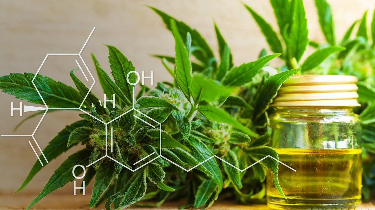 Comment choisir un site fiable pour acheter du CBD en ligne