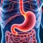 découvrez comment les troubles digestifs, en particulier les problèmes gastriques, peuvent provoquer des extrasystoles cardiaques et influencer la santé du cœur.