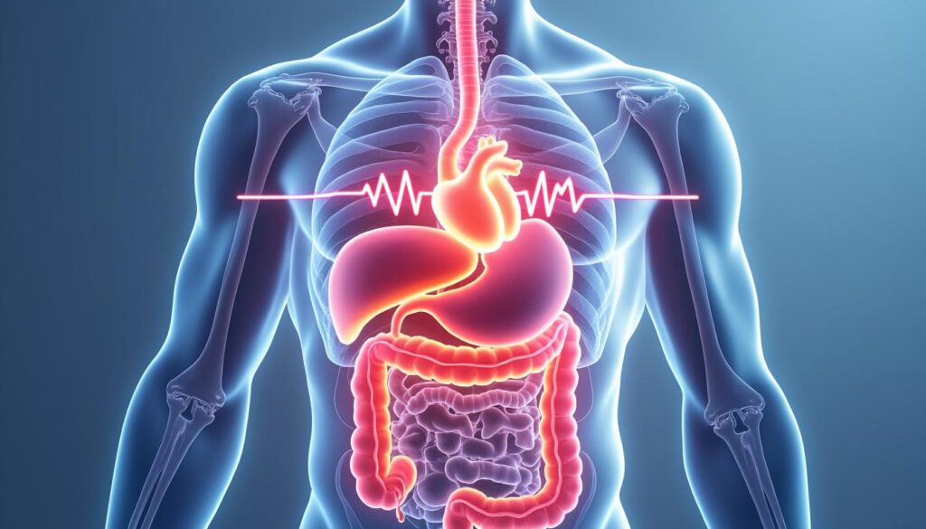 découvrez les causes digestives pouvant déclencher une tachycardie, leurs mécanismes et comment les reconnaître pour mieux comprendre cette interaction entre système digestif et rythme cardiaque.