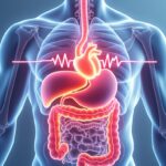 découvrez les causes digestives pouvant déclencher une tachycardie, leurs mécanismes et comment les reconnaître pour mieux comprendre cette interaction entre système digestif et rythme cardiaque.