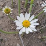 découvrez les témoignages des familles sur leur expérience avec l'aide éducative à domicile, ses avantages et son impact sur le développement des enfants.