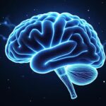 découvrez tout sur zonivizectrum, un trouble neurologique rare : symptômes, causes, diagnostic et options de traitement pour mieux comprendre cette maladie spécifique.