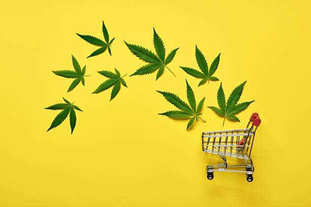 achat résine CBD taux