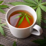 quelle resine de cbd choisir selon votre profil de consommation