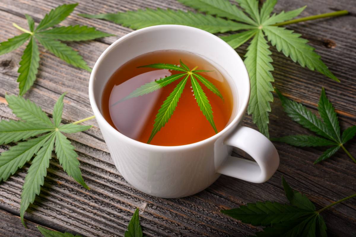 Quelle résine de CBD choisir selon votre profil de consommation ?